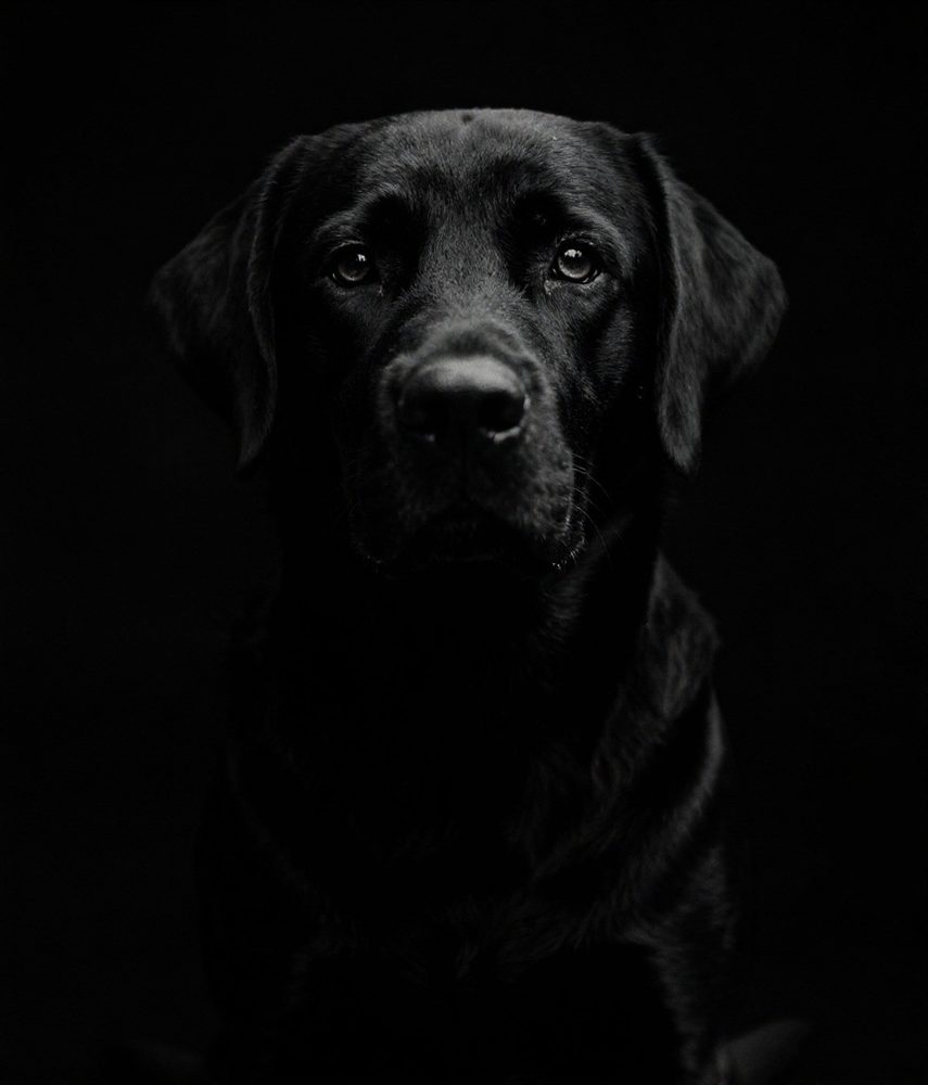 Fine-Art Black & White
